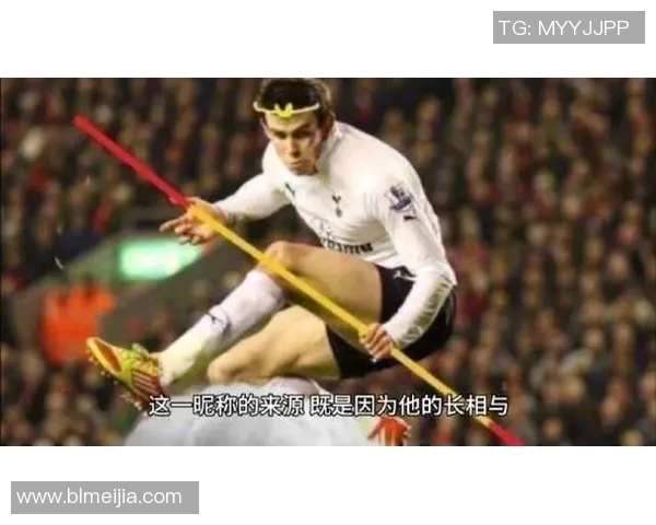 足球明星体育生的成长之路与职业生涯的精彩瞬间揭秘